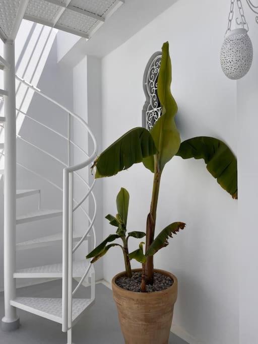 Casa Sira-Charming Home In The Heart Of The Kasbah Tanger Eksteriør billede